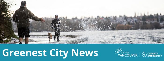 A person jogging with their hand outstretched, and another person jogging with their dog along the seawall at high tide. Water from the waves splashes towards the joggers. A blue text box below reads: 
